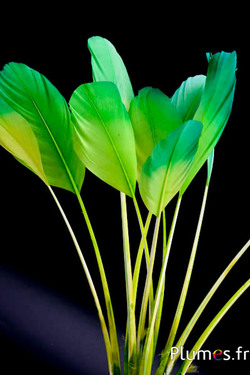 Panicule zwaan zijde - 25-30 cm - limoen-smaragdgroen